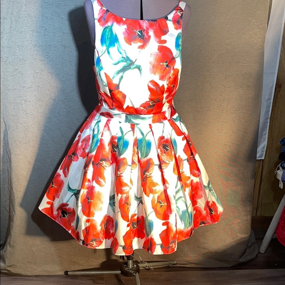 Narianna Formal Red and‎ White Dress